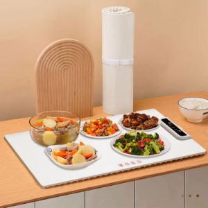 Electric Warming Tray Food